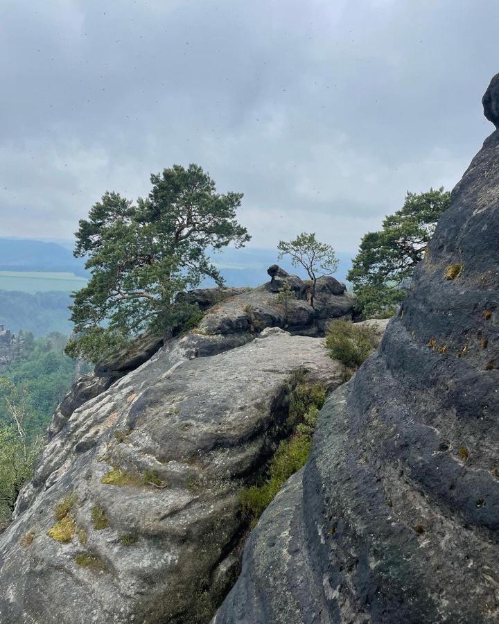 Bergblick Apartment SäChsische Schweiz زبنيتس المظهر الخارجي الصورة