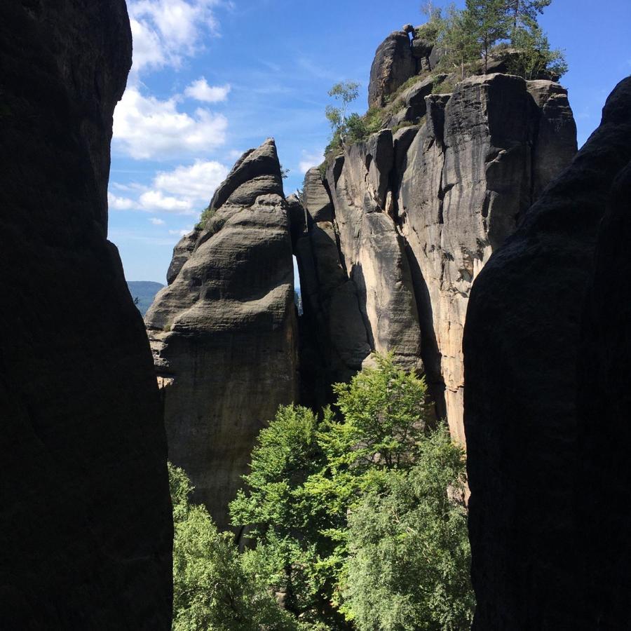 Bergblick Apartment SäChsische Schweiz زبنيتس المظهر الخارجي الصورة
