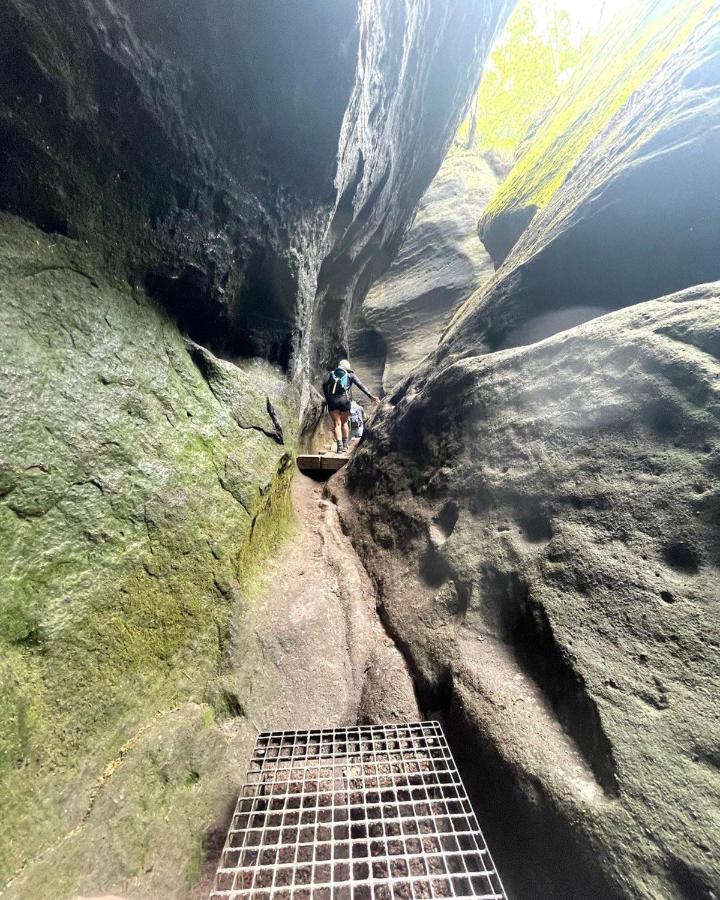 Bergblick Apartment SäChsische Schweiz زبنيتس المظهر الخارجي الصورة